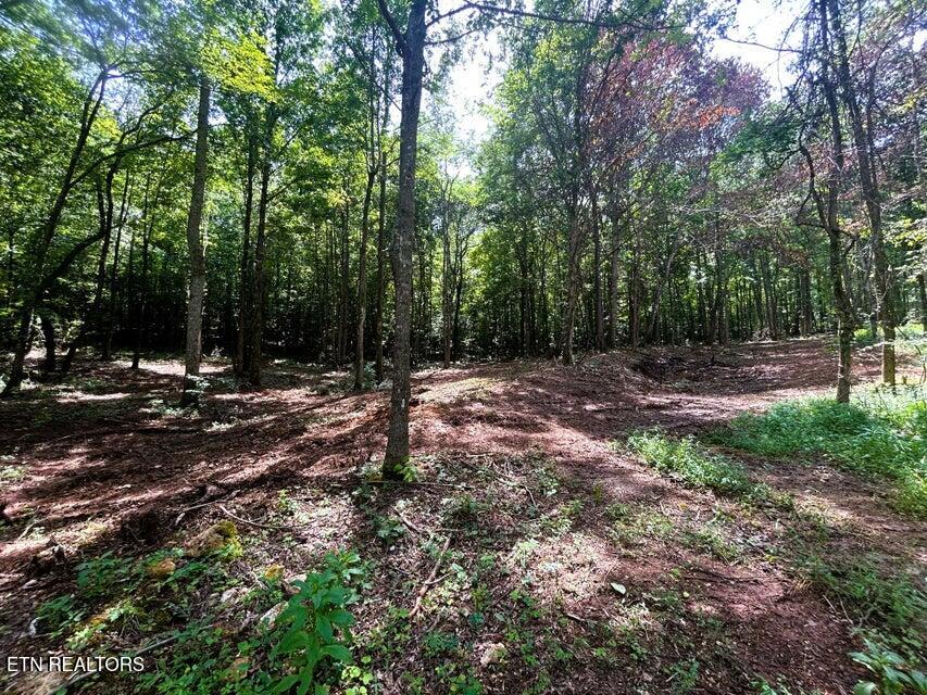 PH 8 cleared homesite