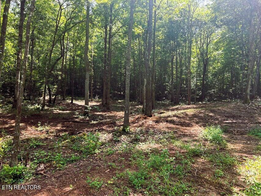 8 Pleasant Hill Road Ten Mile, TN 37880 - Photo 4 of 9 PH 8 main