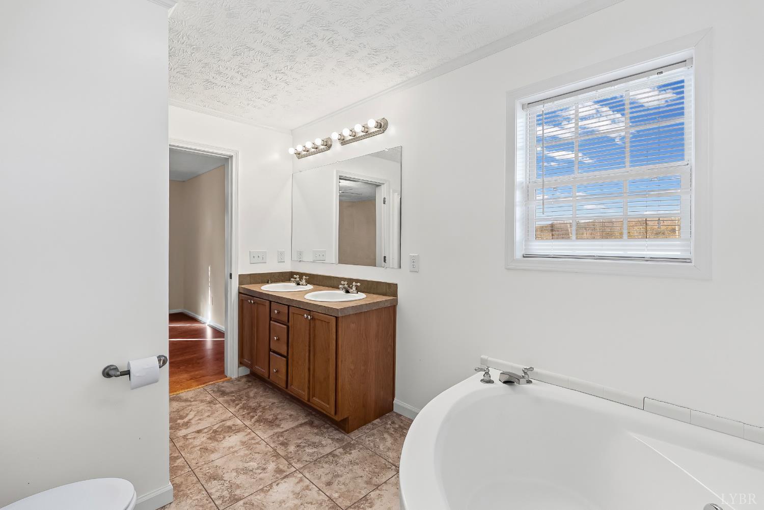 309 Marion Road Chatham, VA 24531 - Photo 3 of 27 a spacious bathroom with a granite countertop sink and mirror