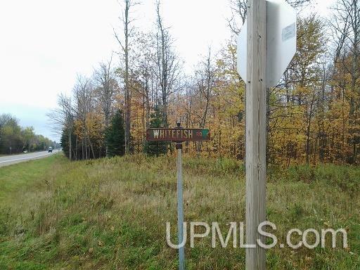 Tbd Whitefish Road Chatham, MI 49816 - Photo 13 of 30