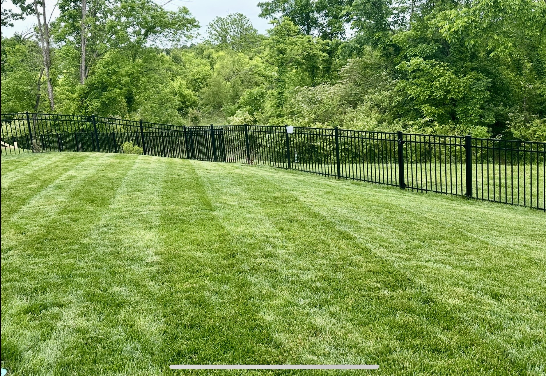 1175 Pebble Run Road Hendersonville, TN 37075 - Photo 76 of 97 Gallery Image 76