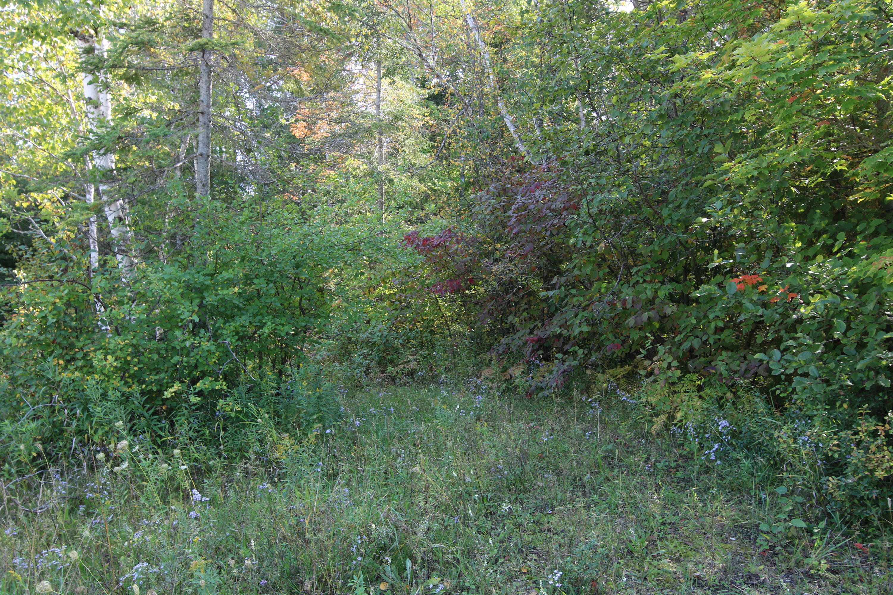 Us23 Highway Cheboygan, MI 49721 - Photo 3 of 4 Gallery Image 3