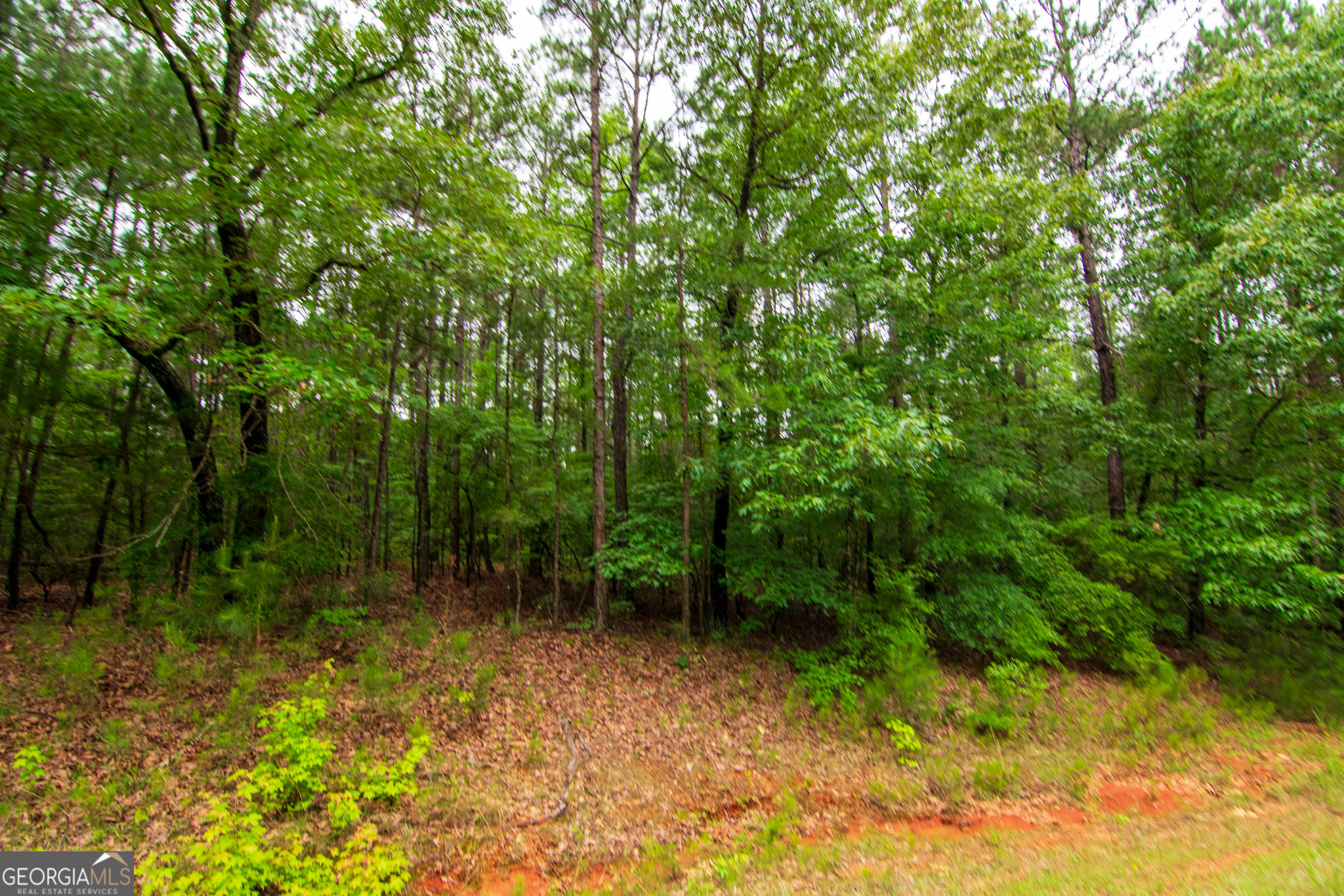 0 White Road Pine Mountain, GA 31822 - Photo 8 of 9