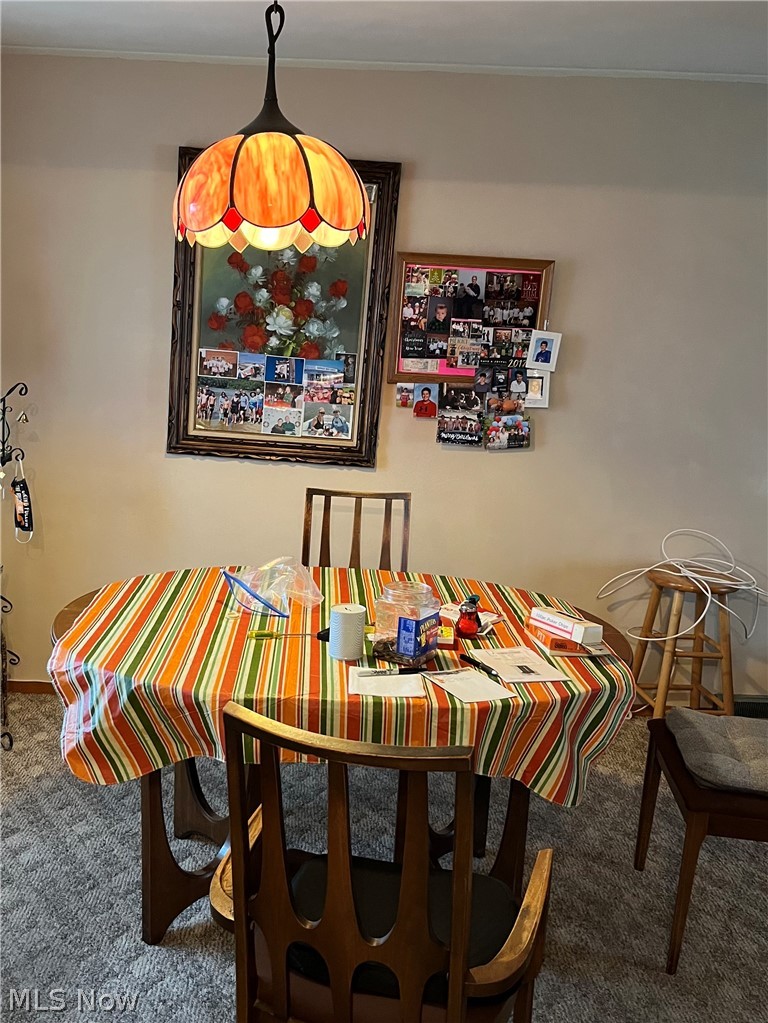 Dining area featuring carpet.