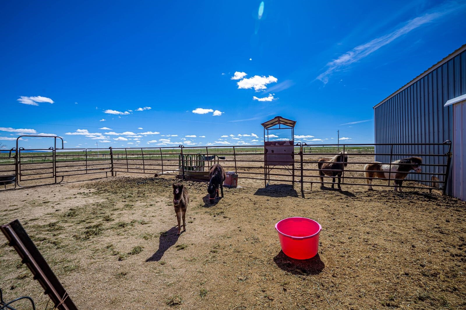 13150 Garbutt Road Casper, WY 82604 - Photo 32 of 50