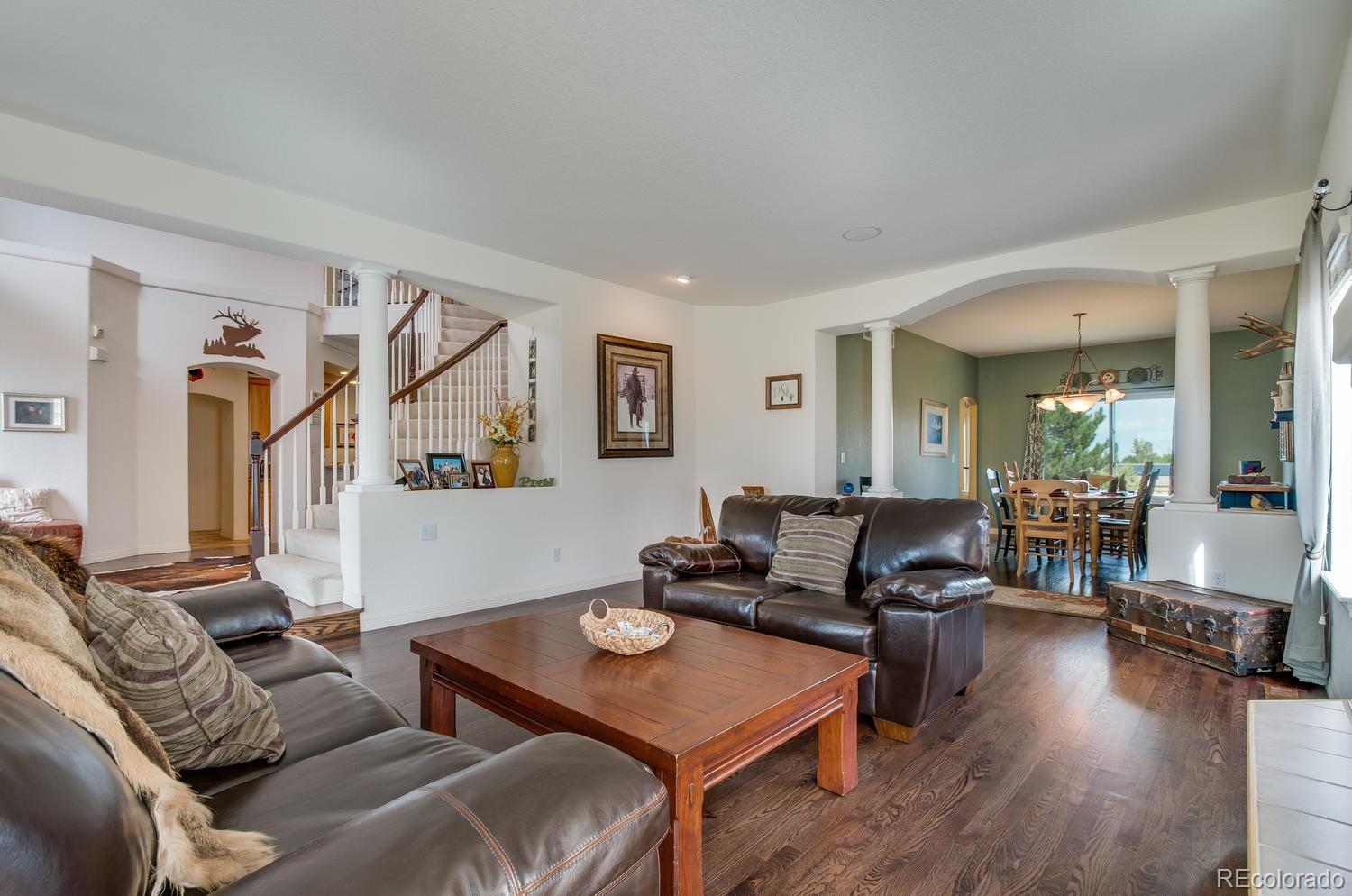 10071 Briargrove Way Highlands Ranch, CO 80126 - Photo 10 of 35 Gallery Image 10