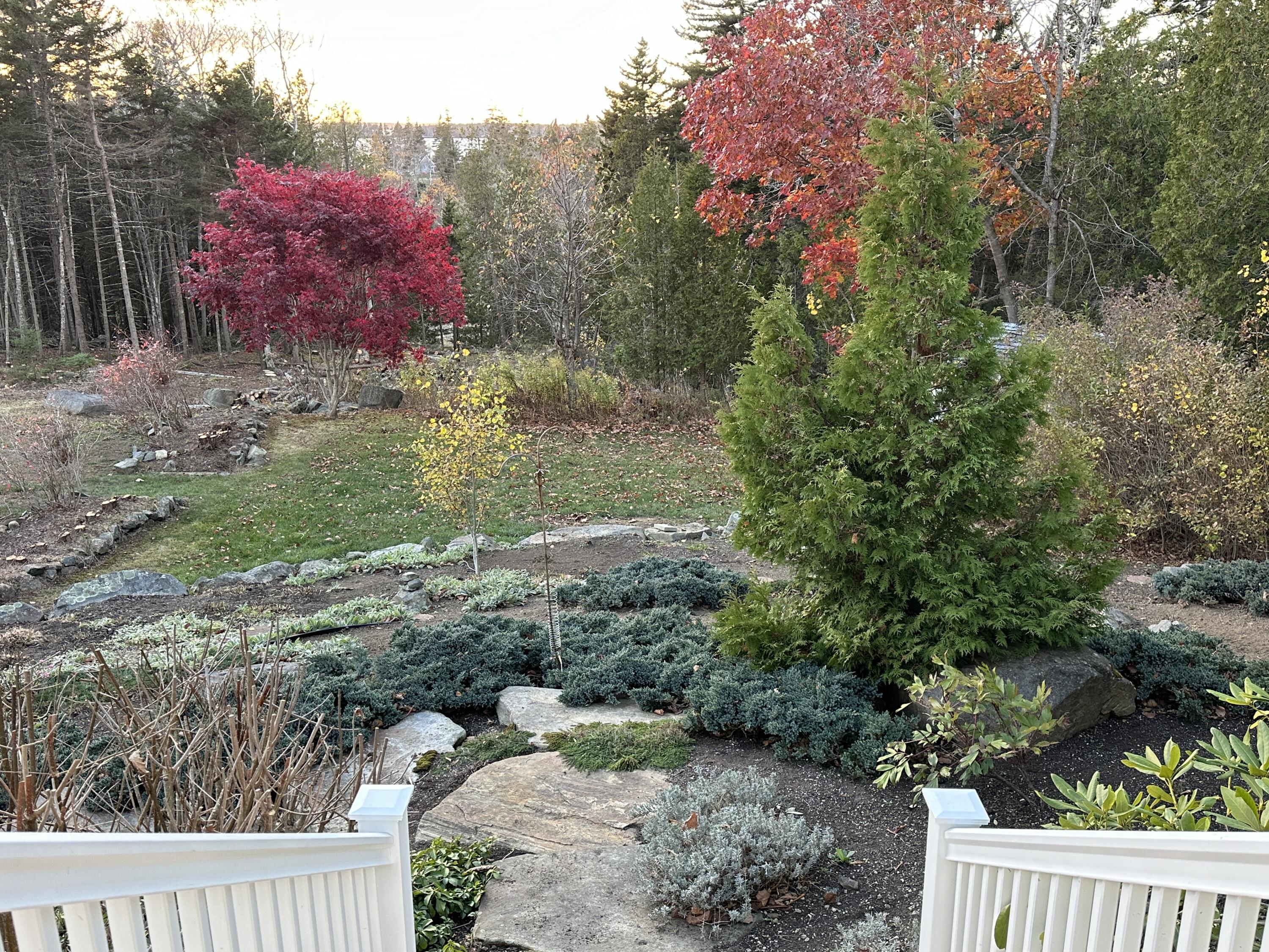 399 Glenmere Road St. George, ME 04860 - Photo 10 of 41 IMG_1173