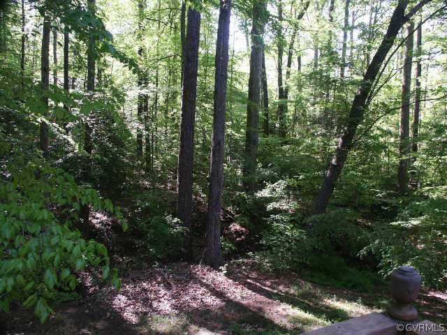 4903 Court Ridge Terrace Midlothian, VA 23112 - Photo 3 of 10 a view of forest