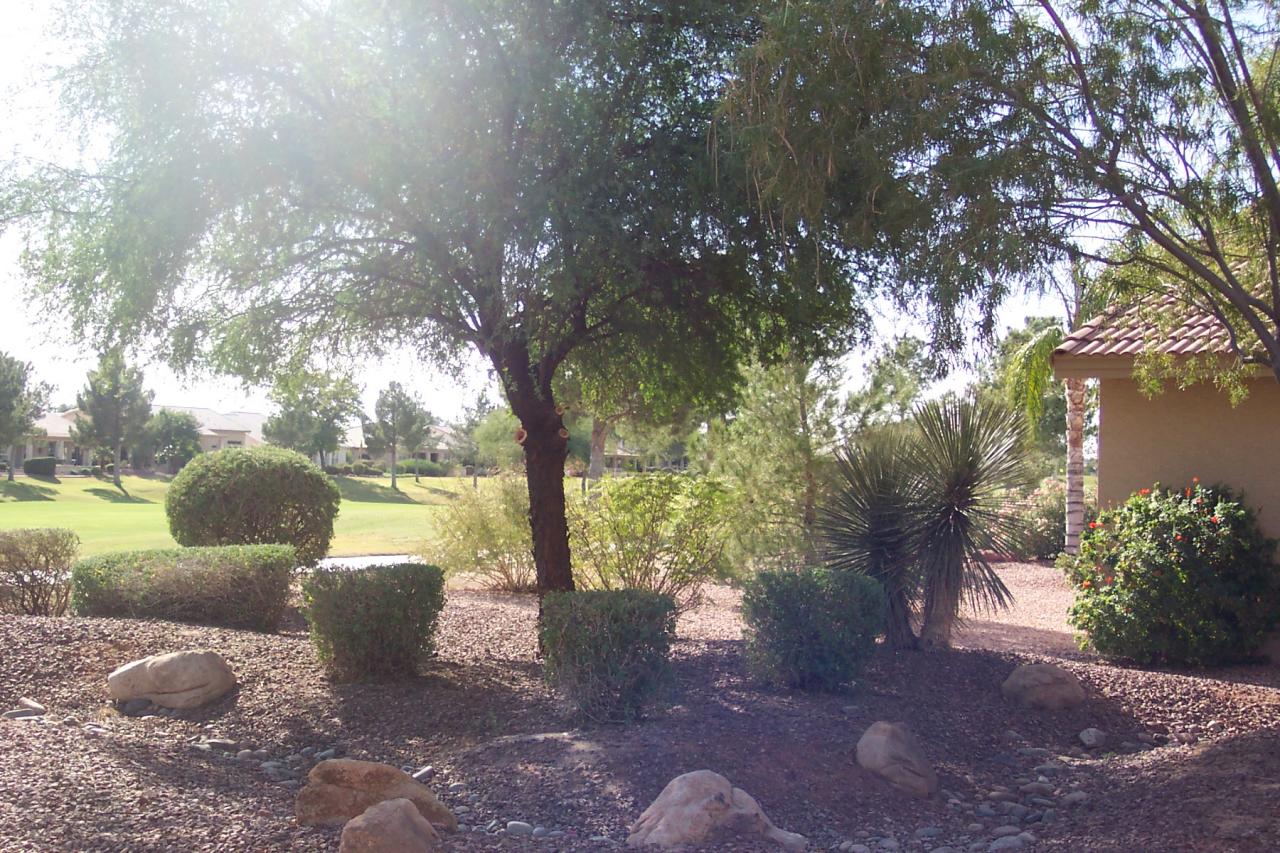 15541 Piccadilly Road Goodyear, AZ 85395 - Photo 8 of 19 Parklike Yard
