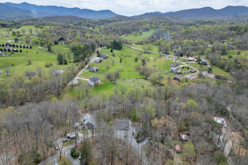 1682 Settlement Road Young Harris, GA 30582 - Photo 70 of 72 a view of a lush green field with lots of bushes