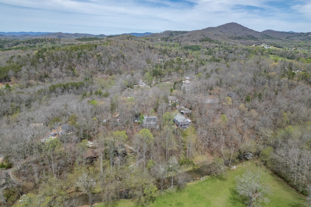 1682 Settlement Road Young Harris, GA 30582 - Photo 71 of 72