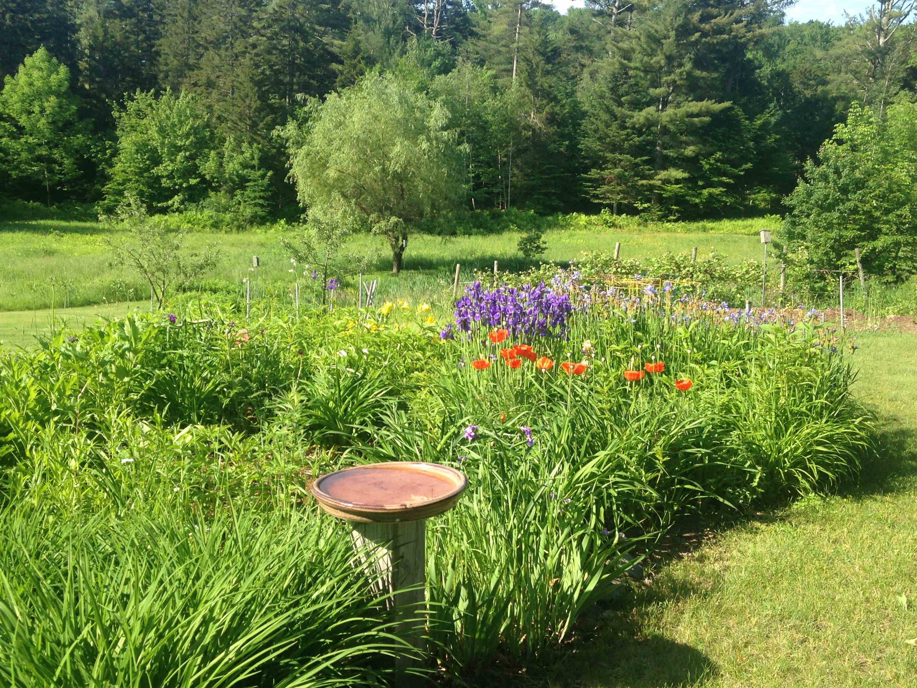84 Beartown Road Underhill, VT 05489 - Photo 54 of 59 Gallery Image 54