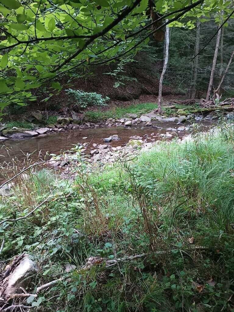 219-3 Co Route Marlinton, WV 24954 - Photo 14 of 22 Gallery Image 14