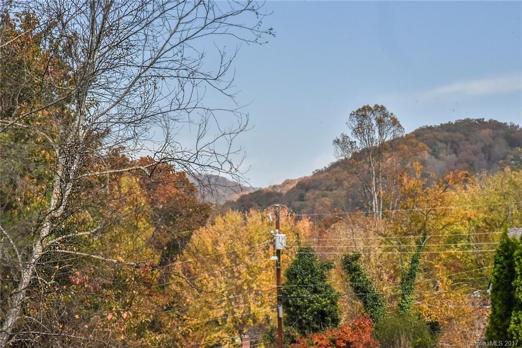 4 Bellhaven Road Asheville, NC 28805 - Photo 24 of 24 Gallery Image 24