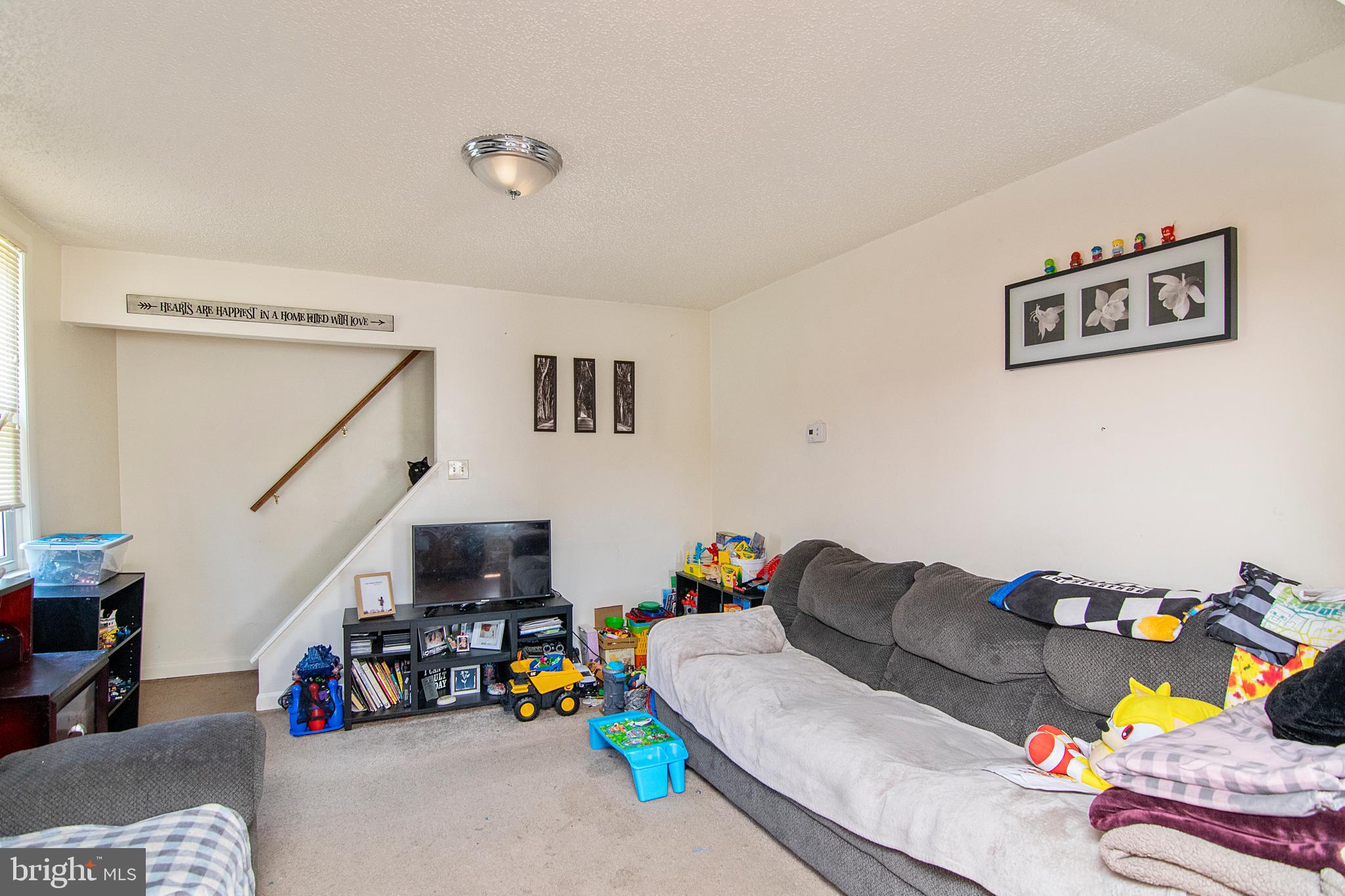 8438 Church Road Pasadena, MD 21122 - Photo 20 of 25 a living room with furniture and a couch