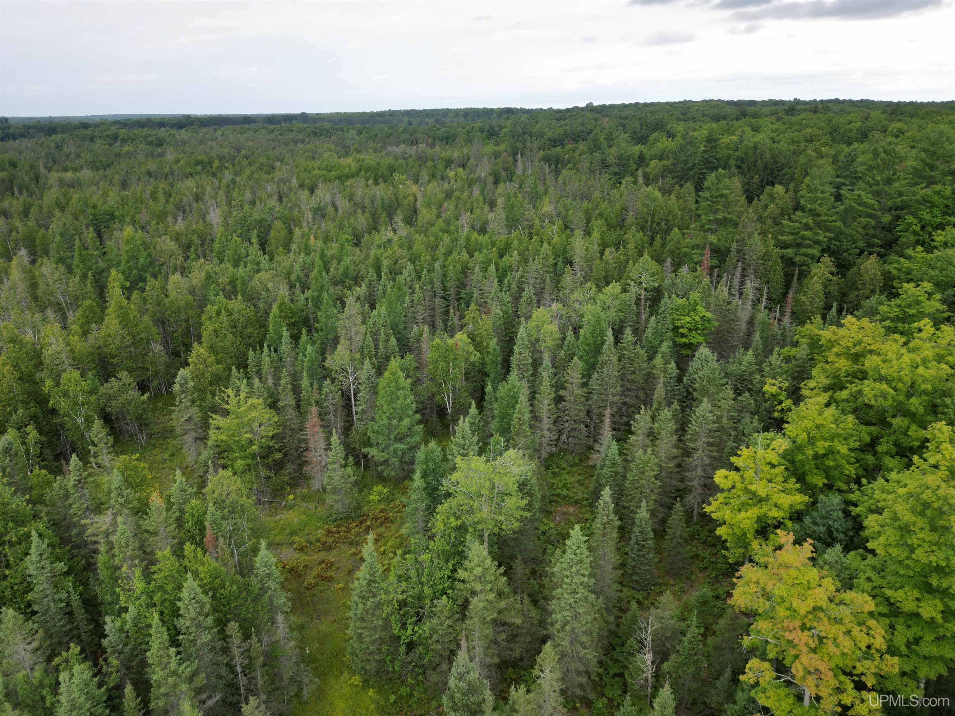 Tbd Tbd County Road, Unit 1 Cornell, MI 49818 - Photo 14 of 41