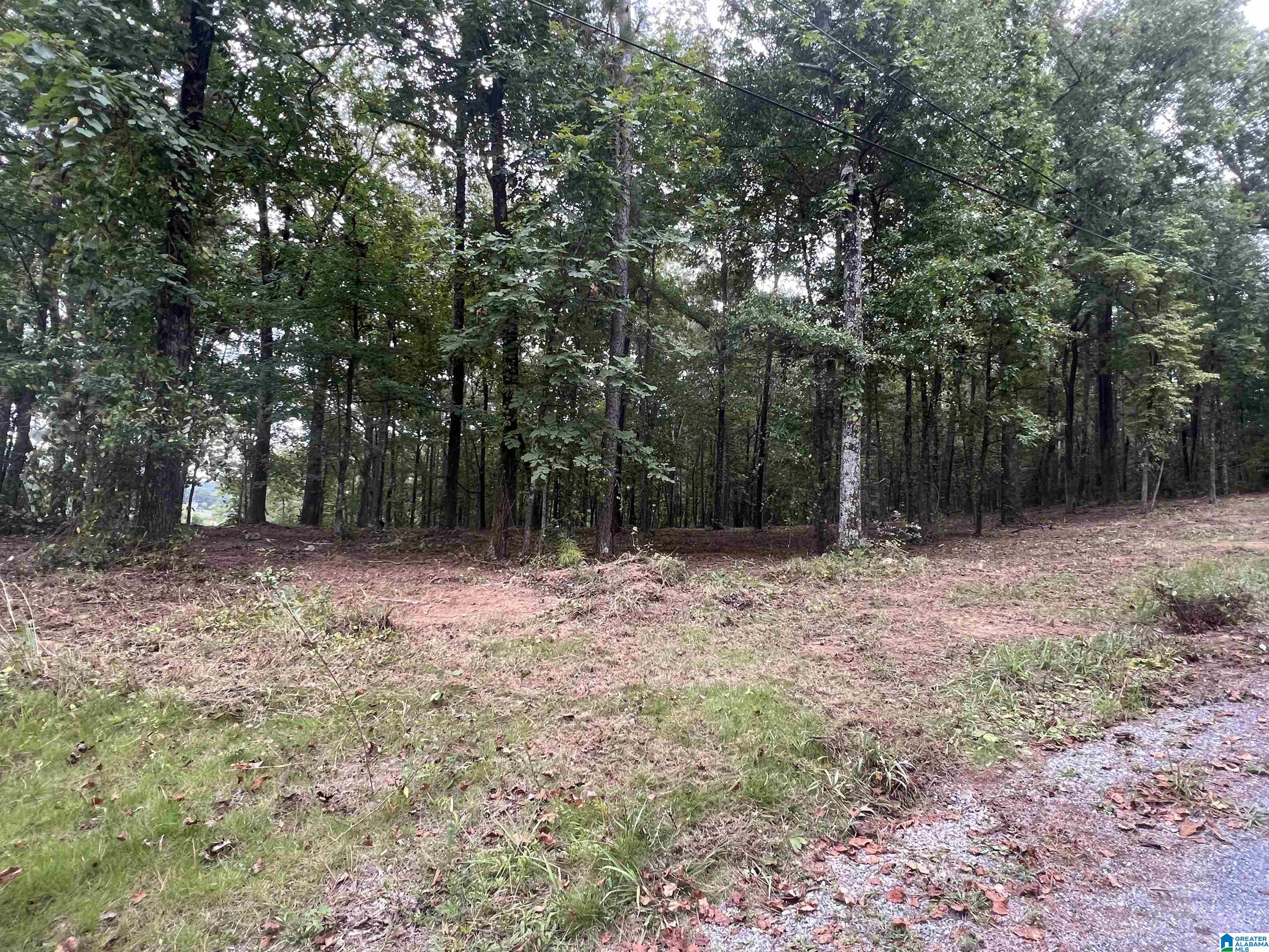 1 Centaurus Circle, Unit 2 Alpine, AL 35014 - Photo 4 of 15