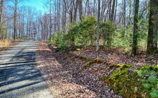 24 Turkey Scratch Road Blairsville, GA 30512 - Photo 8 of 13 Additional View
