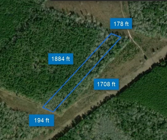 0 Menard Chapel Road Livingston, TX 77351 - Photo 11 of 11