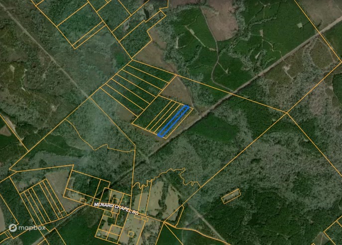 0 Menard Chapel Road Livingston, TX 77351 - Photo 2 of 11