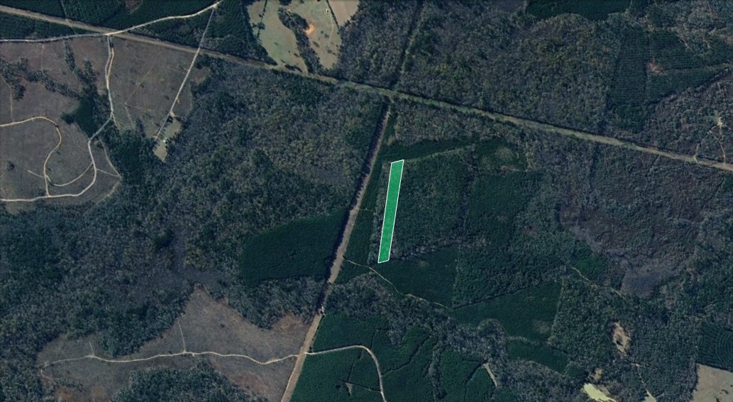 0 Menard Chapel Road Livingston, TX 77351 - Photo 3 of 11