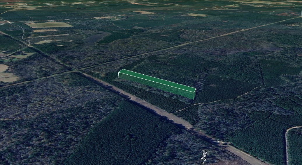 0 Menard Chapel Road Livingston, TX 77351 - Photo 4 of 11