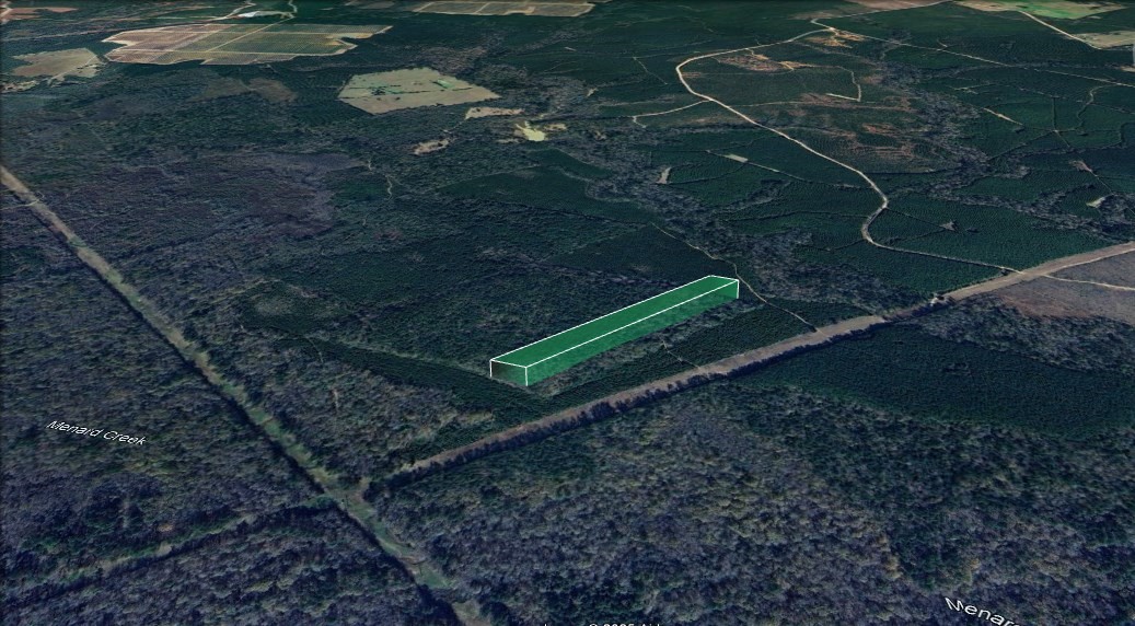 0 Menard Chapel Road Livingston, TX 77351 - Photo 7 of 11