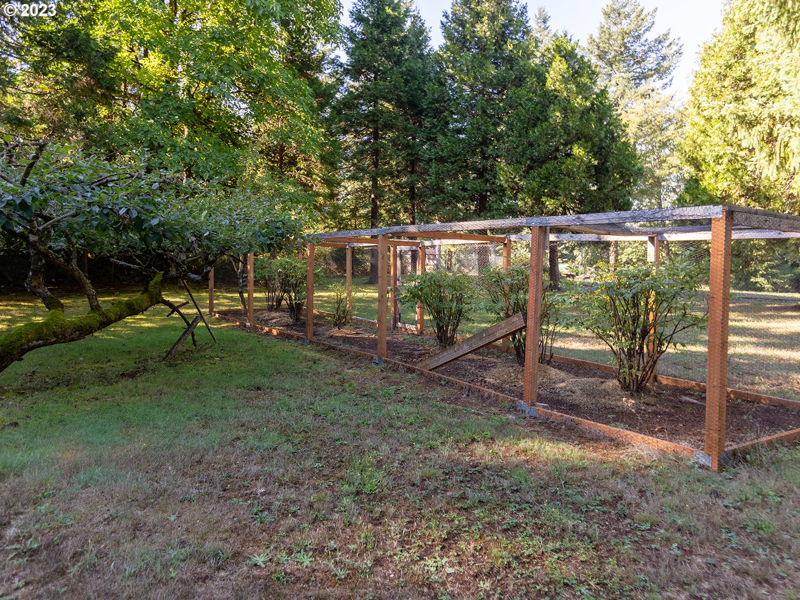 3201 Skye Road Washougal, WA 98671 - Photo 40 of 45 Gallery Image 40