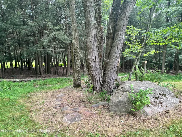 $374,000 | 278 Route 13, Hunter, NY 12442