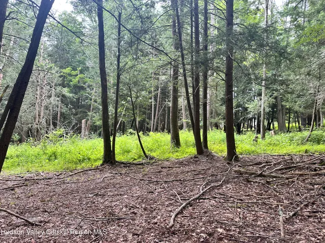 $374,000 | 278 Route 13, Hunter, NY 12442