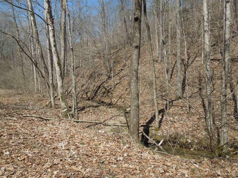 373 Rector Road Waynesburg, KY 40489 - Photo 10 of 44 Photo 10