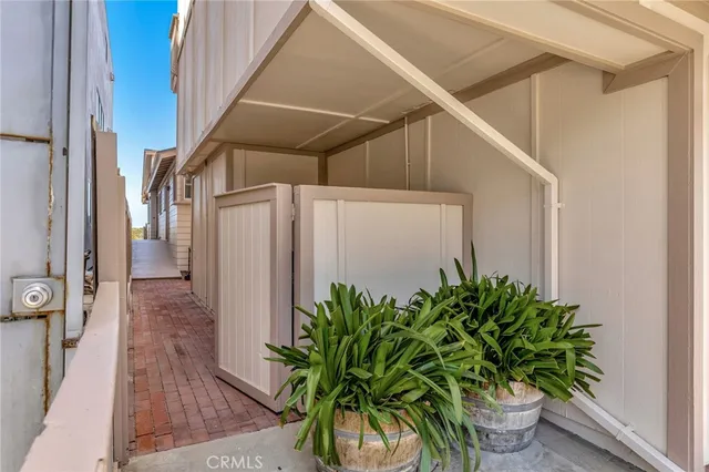 a potted plant sitting in front of a house