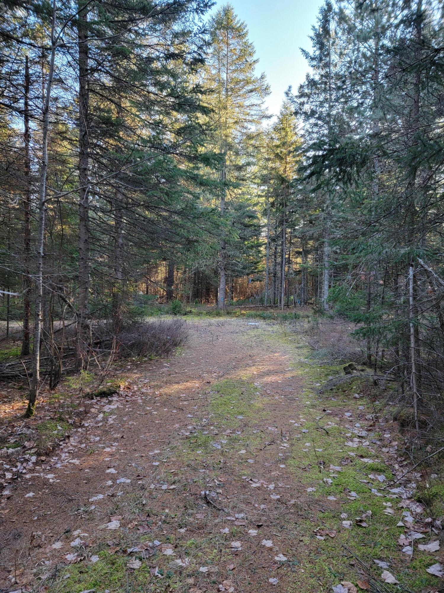 Lot 7 Cartullo Road Stratton, ME 04982 - Photo 3 of 30 4