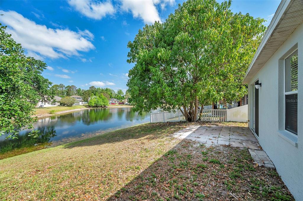 12351 Ridgedale Drive Hudson, FL 34669 - Photo 44 of 54 a backyard of a house with a lake view