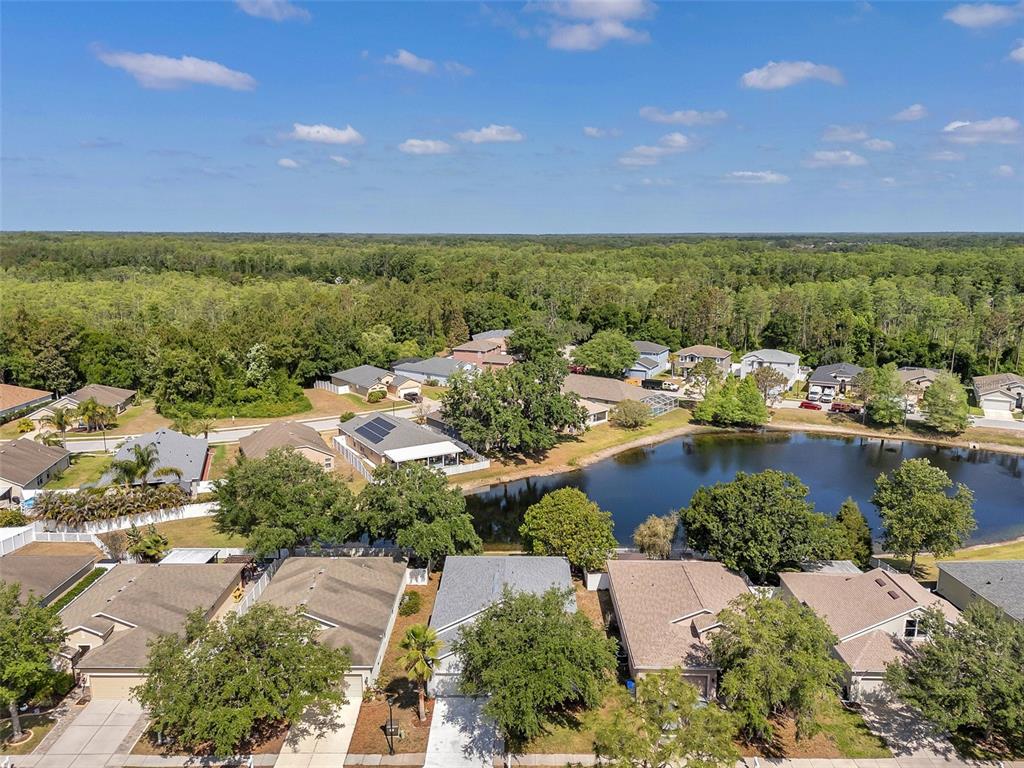 12351 Ridgedale Drive Hudson, FL 34669 - Photo 50 of 54 an aerial view of a houses with a lake view
