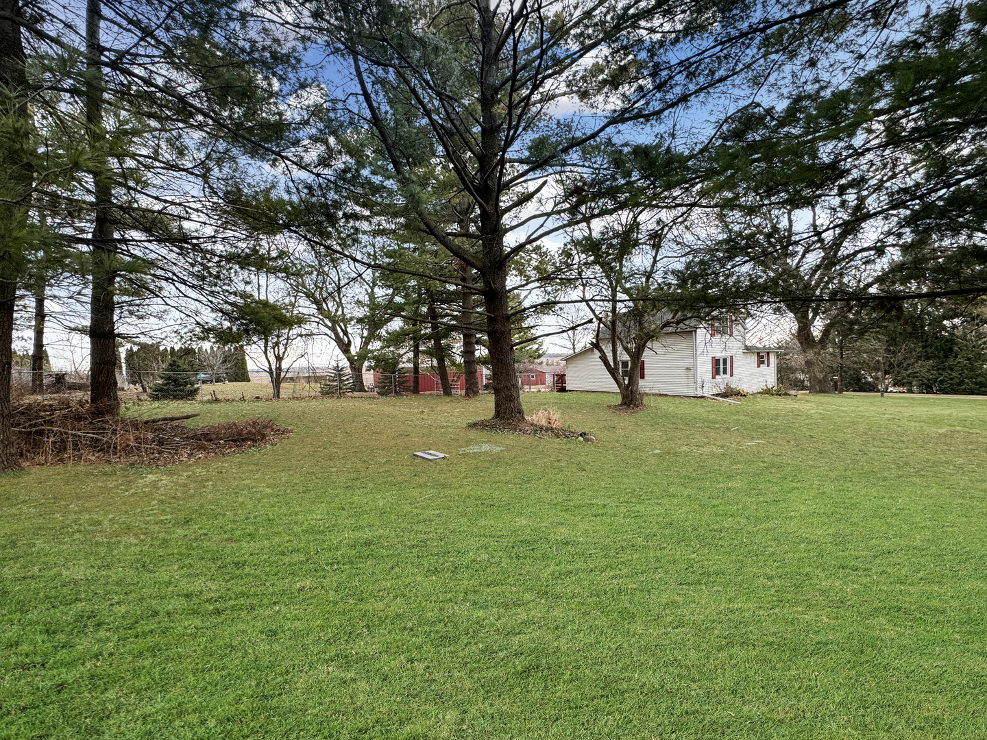 2289 North AYP Road Freeport, IL 61032 - Photo 4 of 52 a huge green field with lots of trees