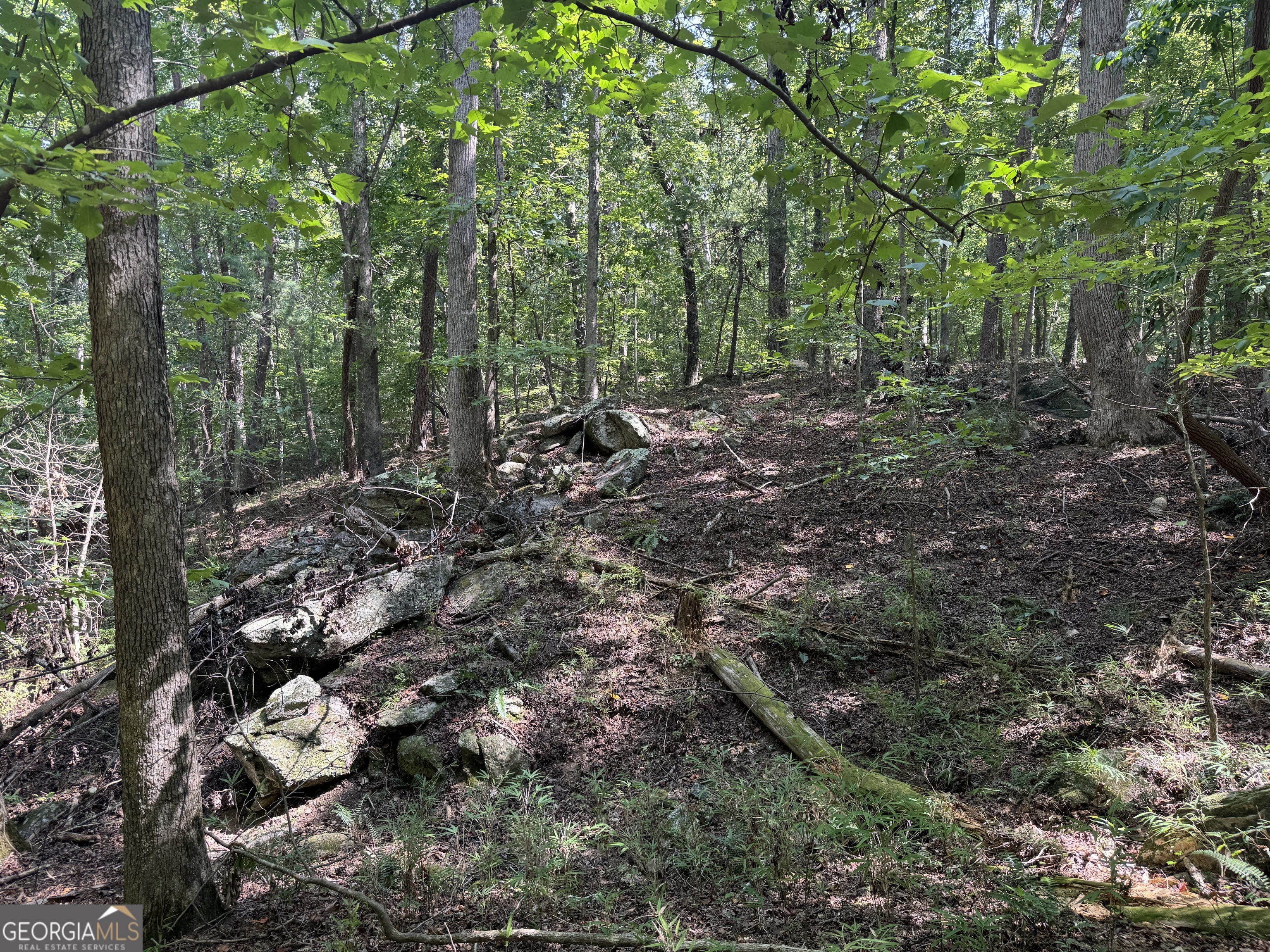 0 Casa Rio Drive Cornelia, GA 30531 - Photo 11 of 28 a view of a forest with trees