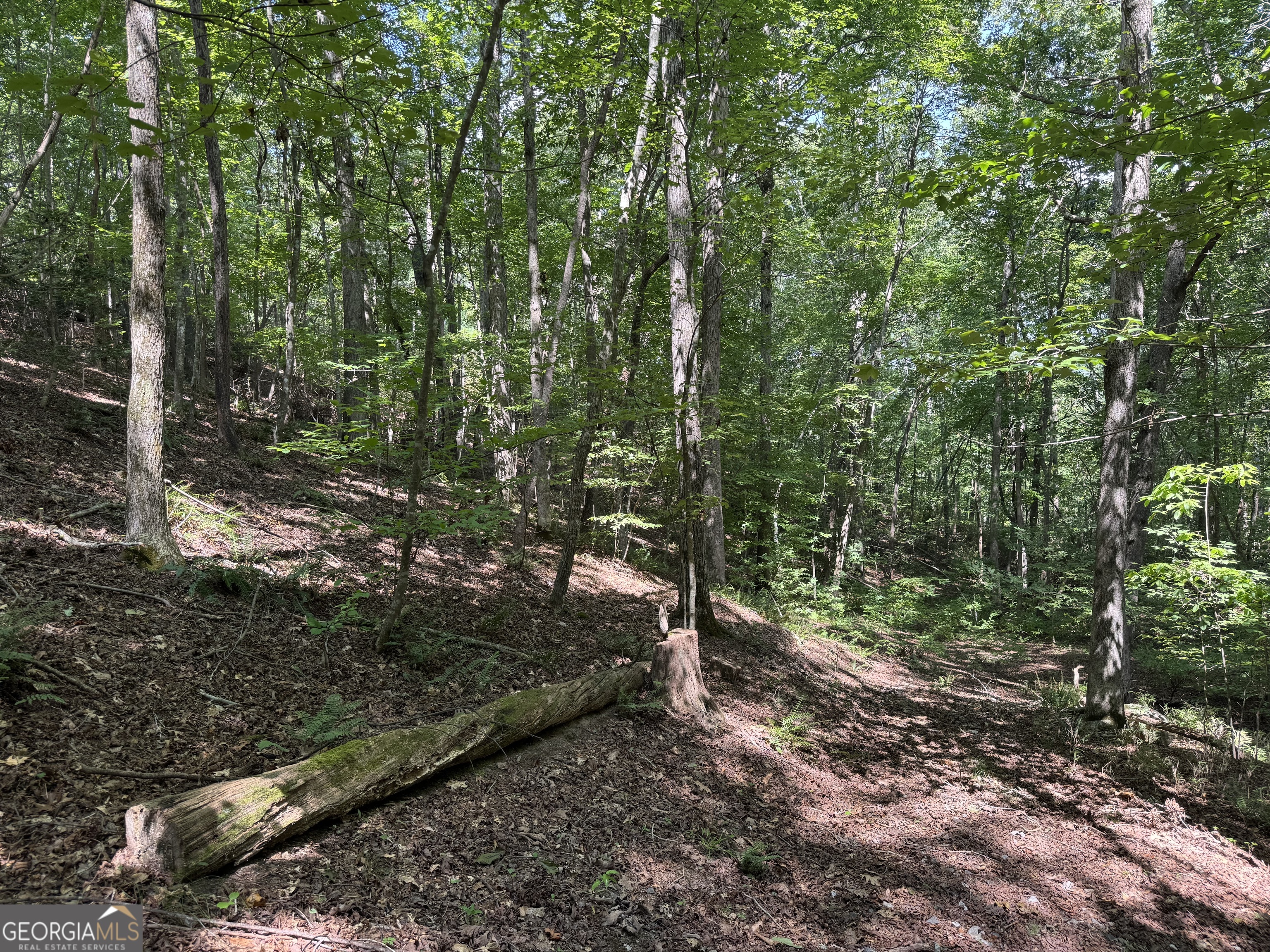 0 Casa Rio Drive Cornelia, GA 30531 - Photo 12 of 28 a view of outdoor space and yard