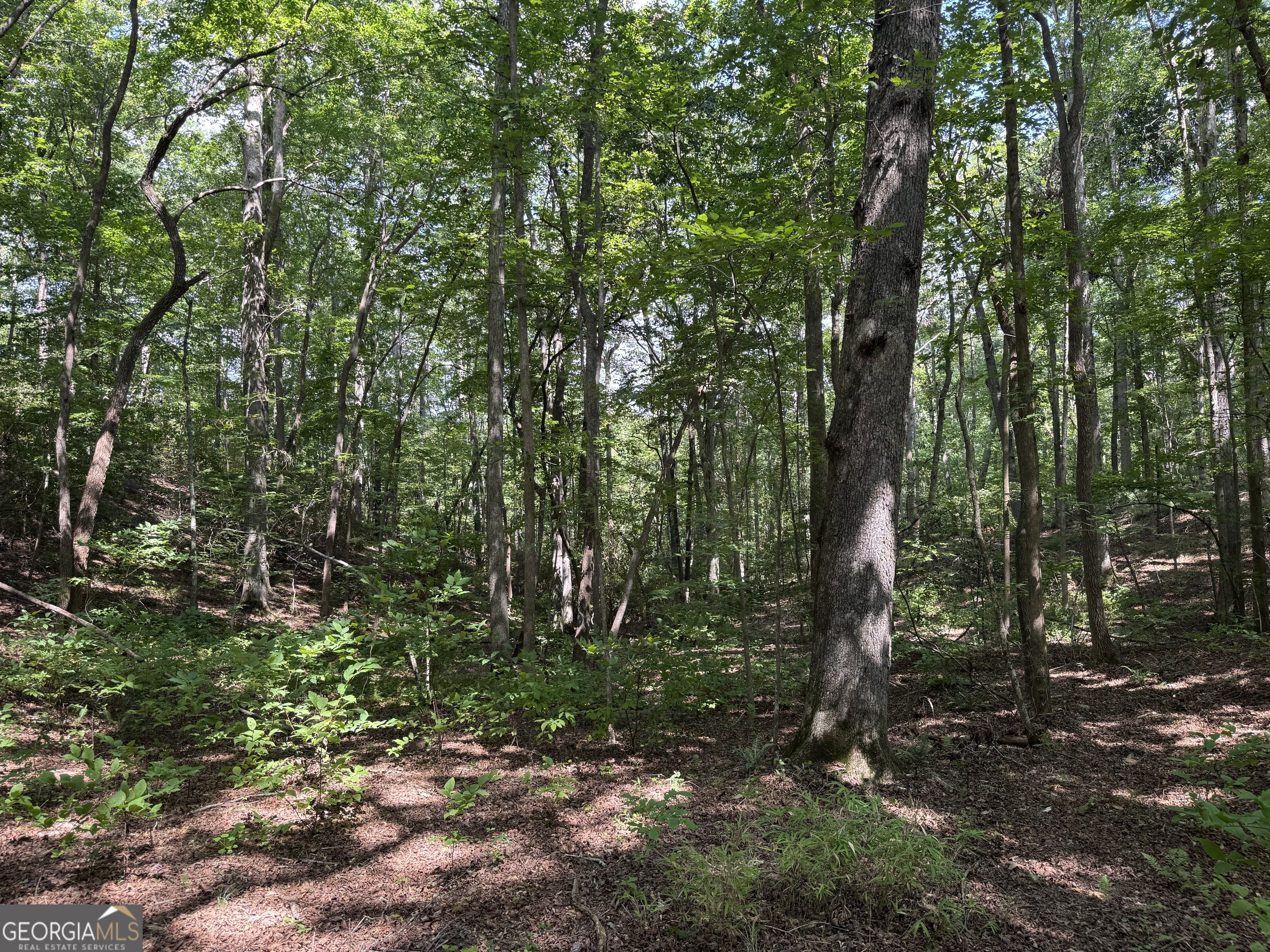 0 Casa Rio Drive Cornelia, GA 30531 - Photo 13 of 28 a view of a forest with trees in the background
