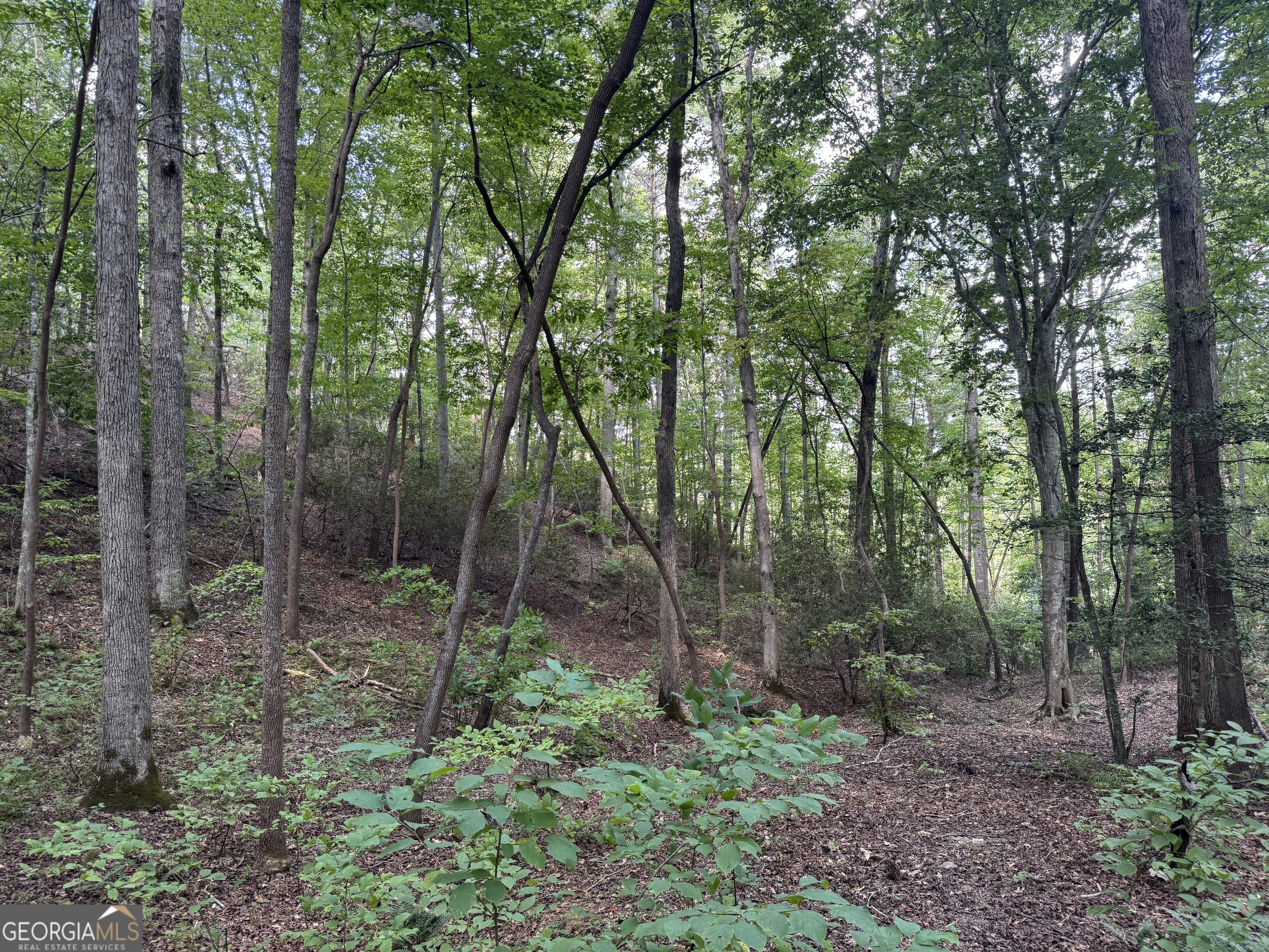 0 Casa Rio Drive Cornelia, GA 30531 - Photo 15 of 28 a view of forest