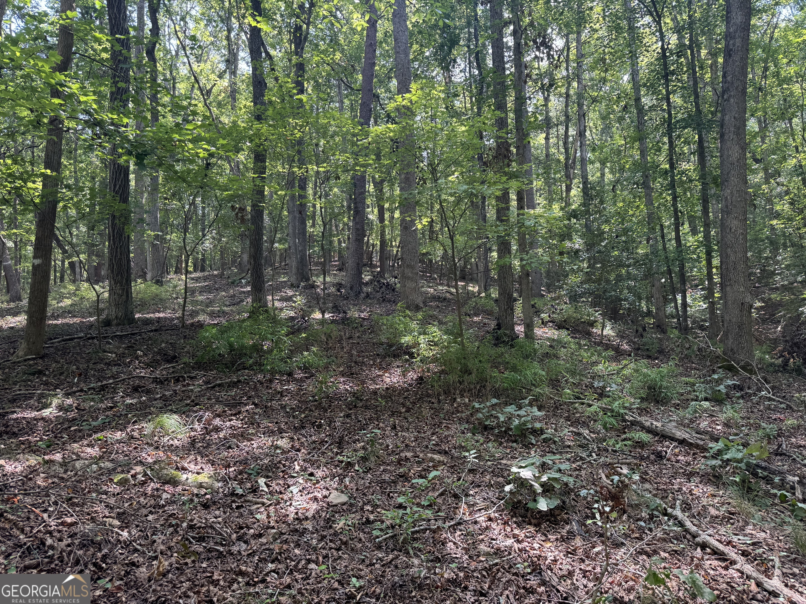 0 Casa Rio Drive Cornelia, GA 30531 - Photo 16 of 28 a view of a forest with trees