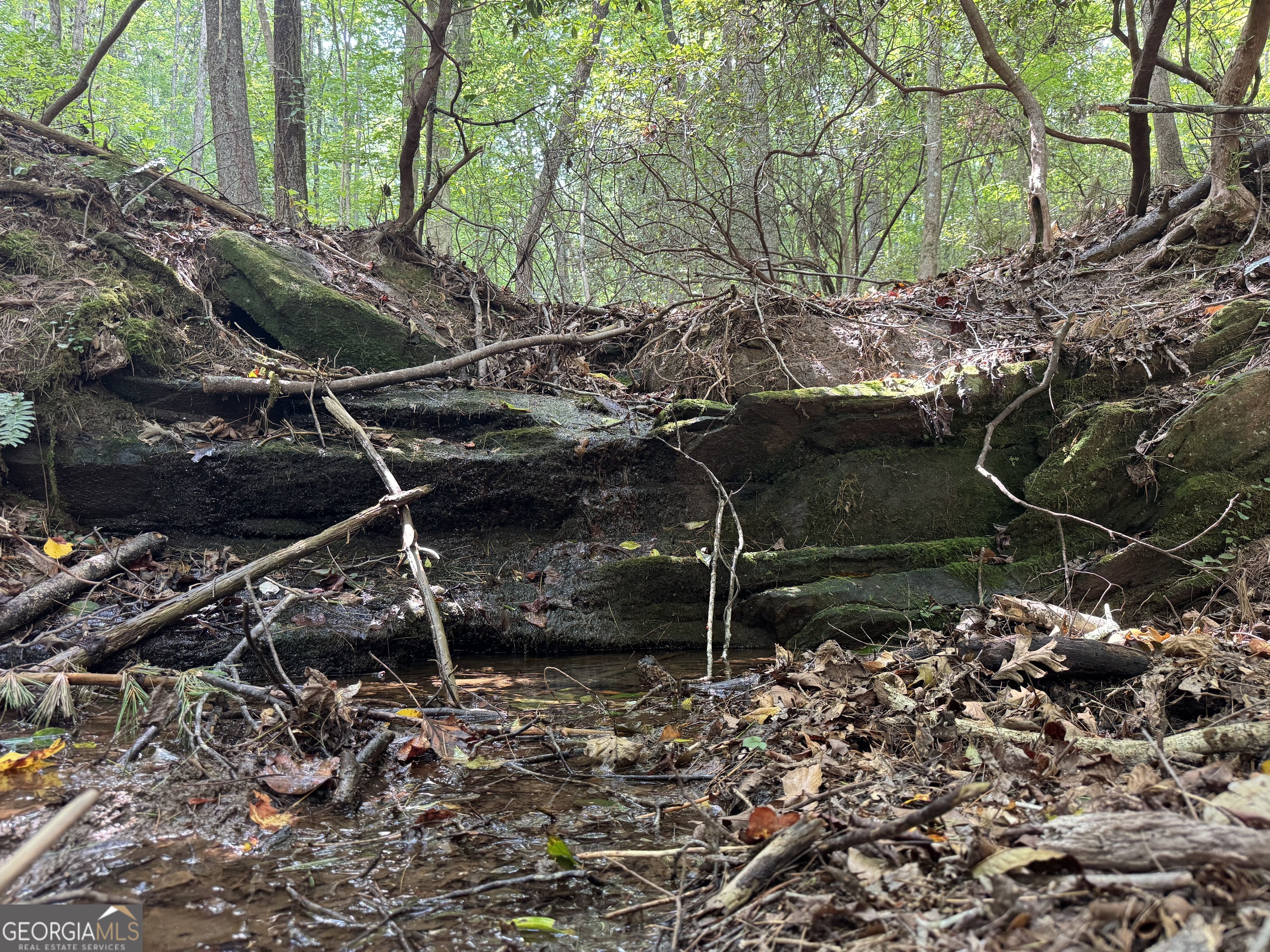 0 Casa Rio Drive Cornelia, GA 30531 - Photo 17 of 28 a backyard of a house with lots of green space