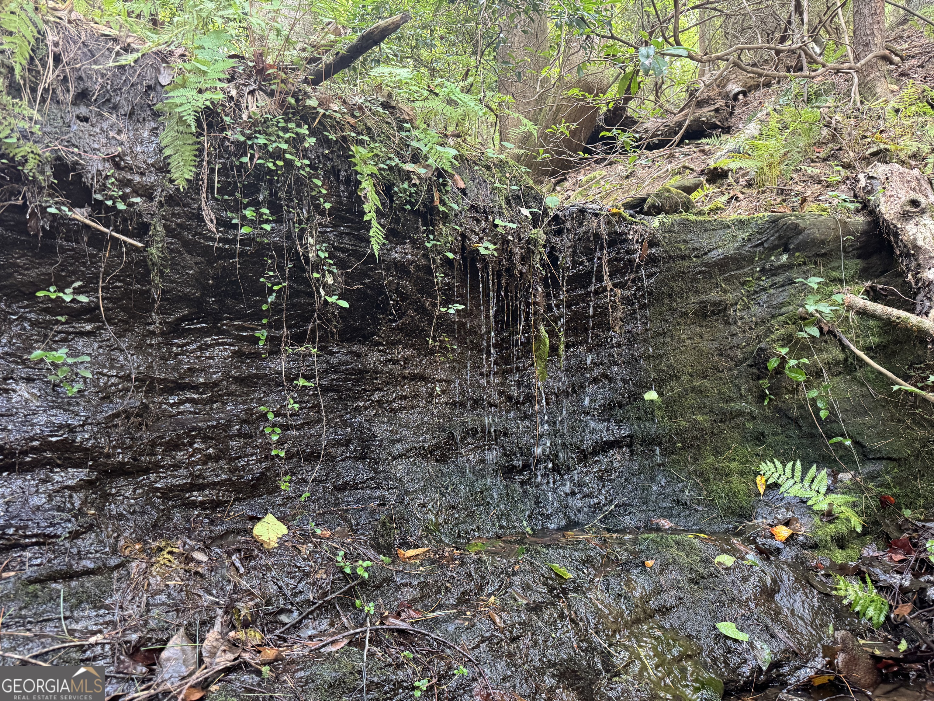 0 Casa Rio Drive Cornelia, GA 30531 - Photo 18 of 28 a backyard of a house