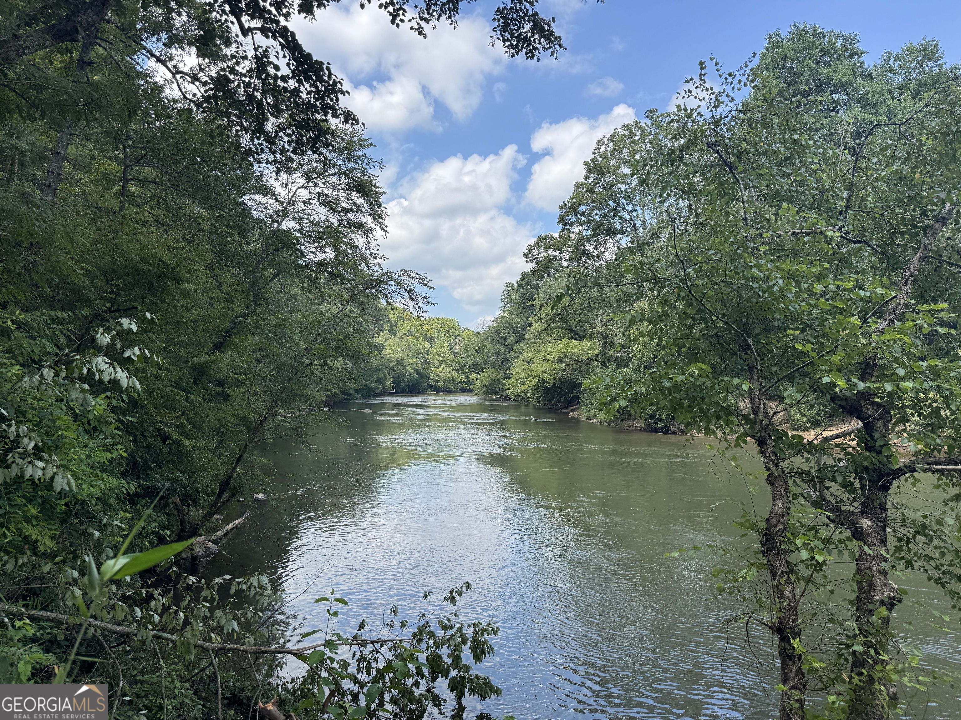 0 Casa Rio Drive Cornelia, GA 30531 - Photo 20 of 28 a view of a lake with a forest