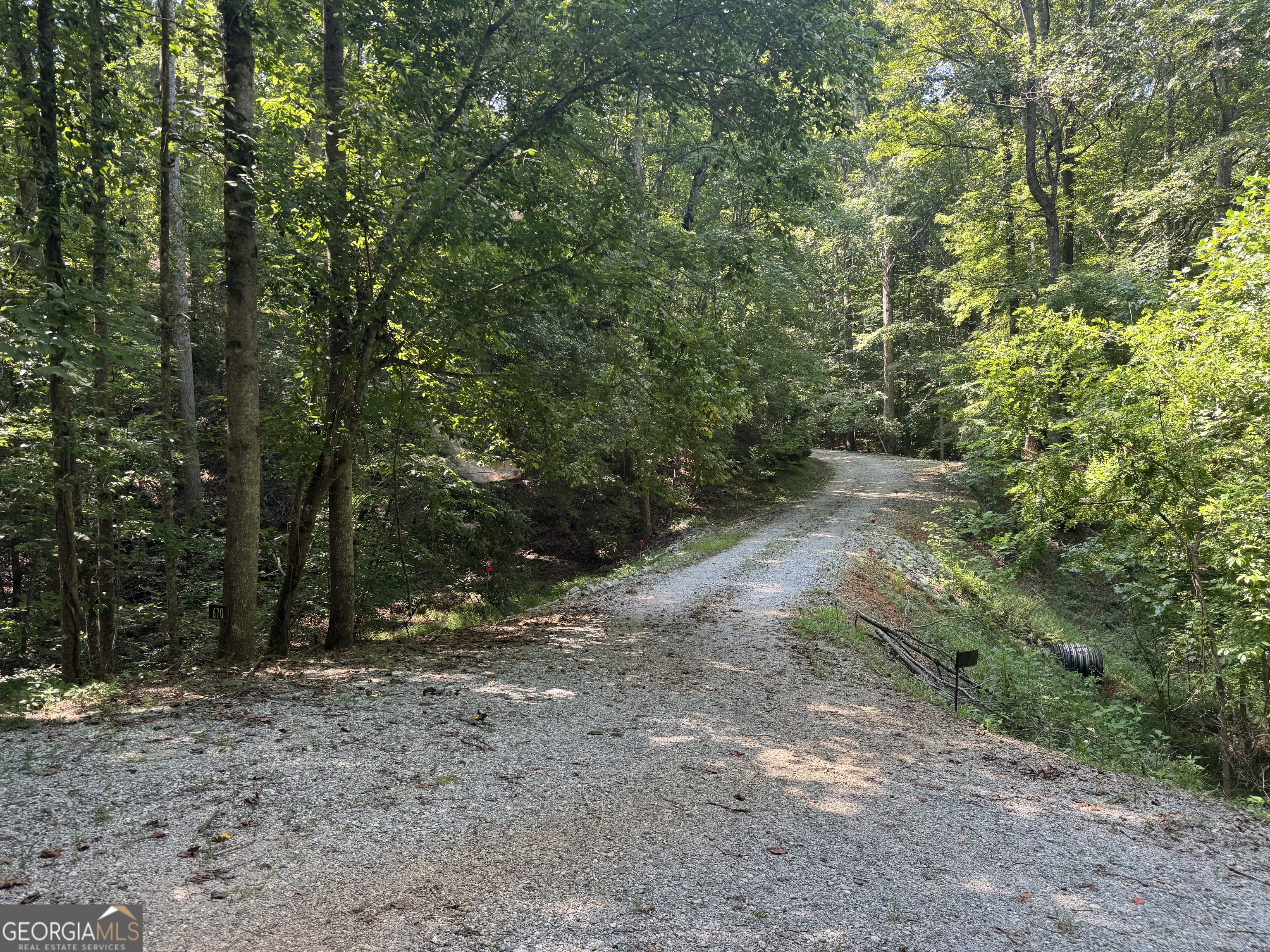 0 Casa Rio Drive Cornelia, GA 30531 - Photo 2 of 28 a view of a forest with trees in the background