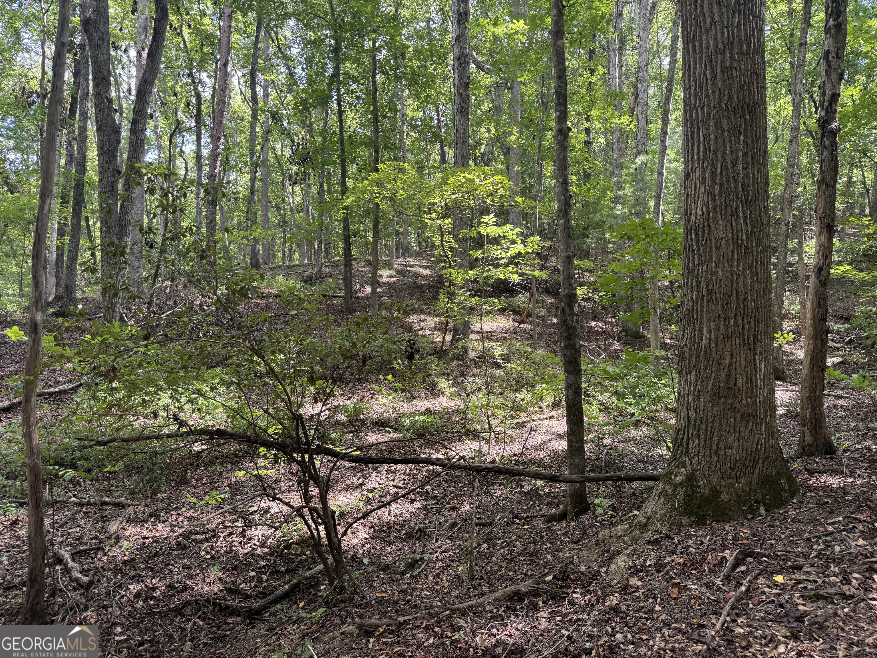 0 Casa Rio Drive Cornelia, GA 30531 - Photo 21 of 28 a view of a forest with trees