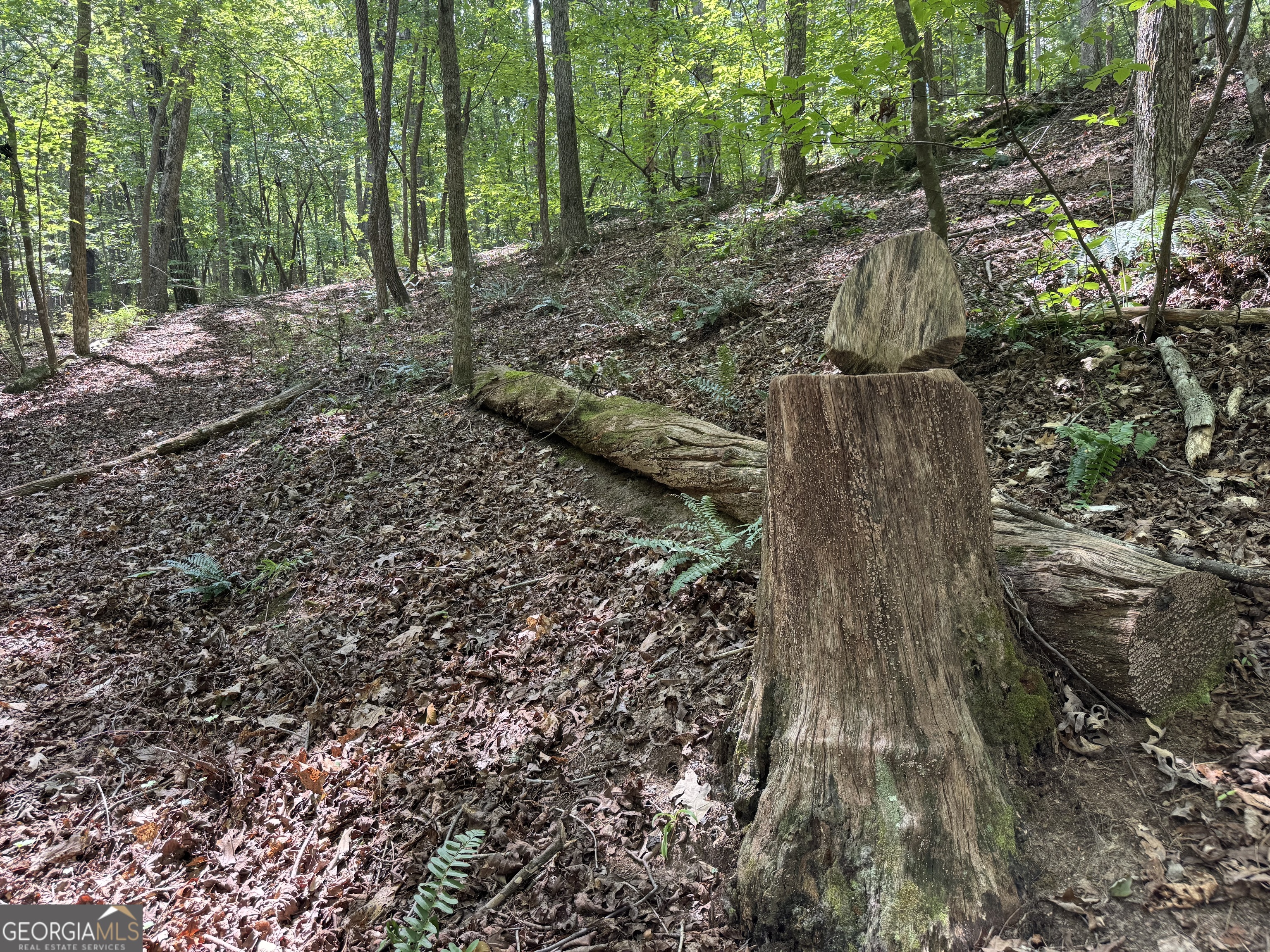 0 Casa Rio Drive Cornelia, GA 30531 - Photo 22 of 28 a backyard of a house with lots of green space