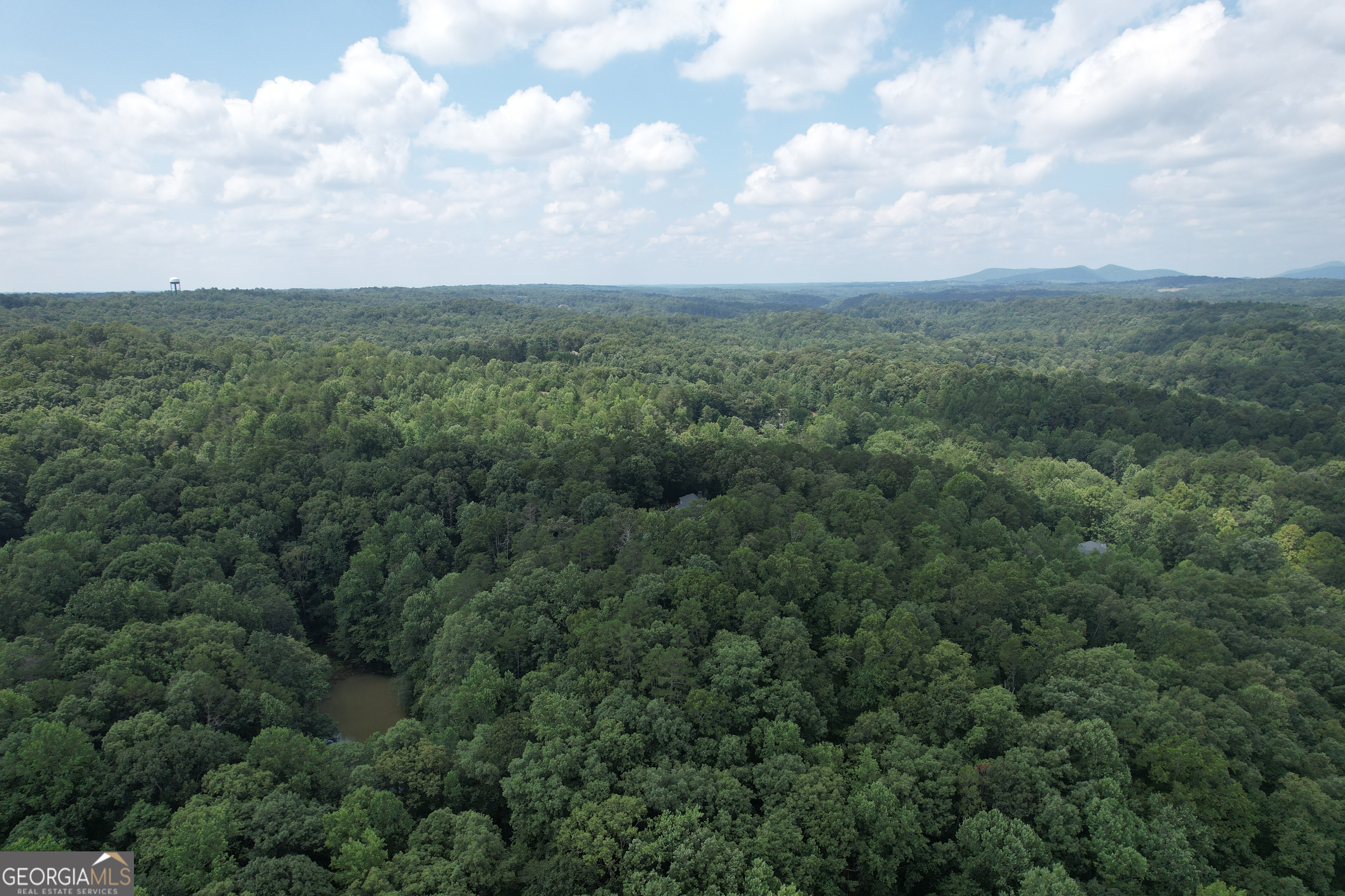 0 Casa Rio Drive Cornelia, GA 30531 - Photo 24 of 28 an aerial view of houses covered in trees