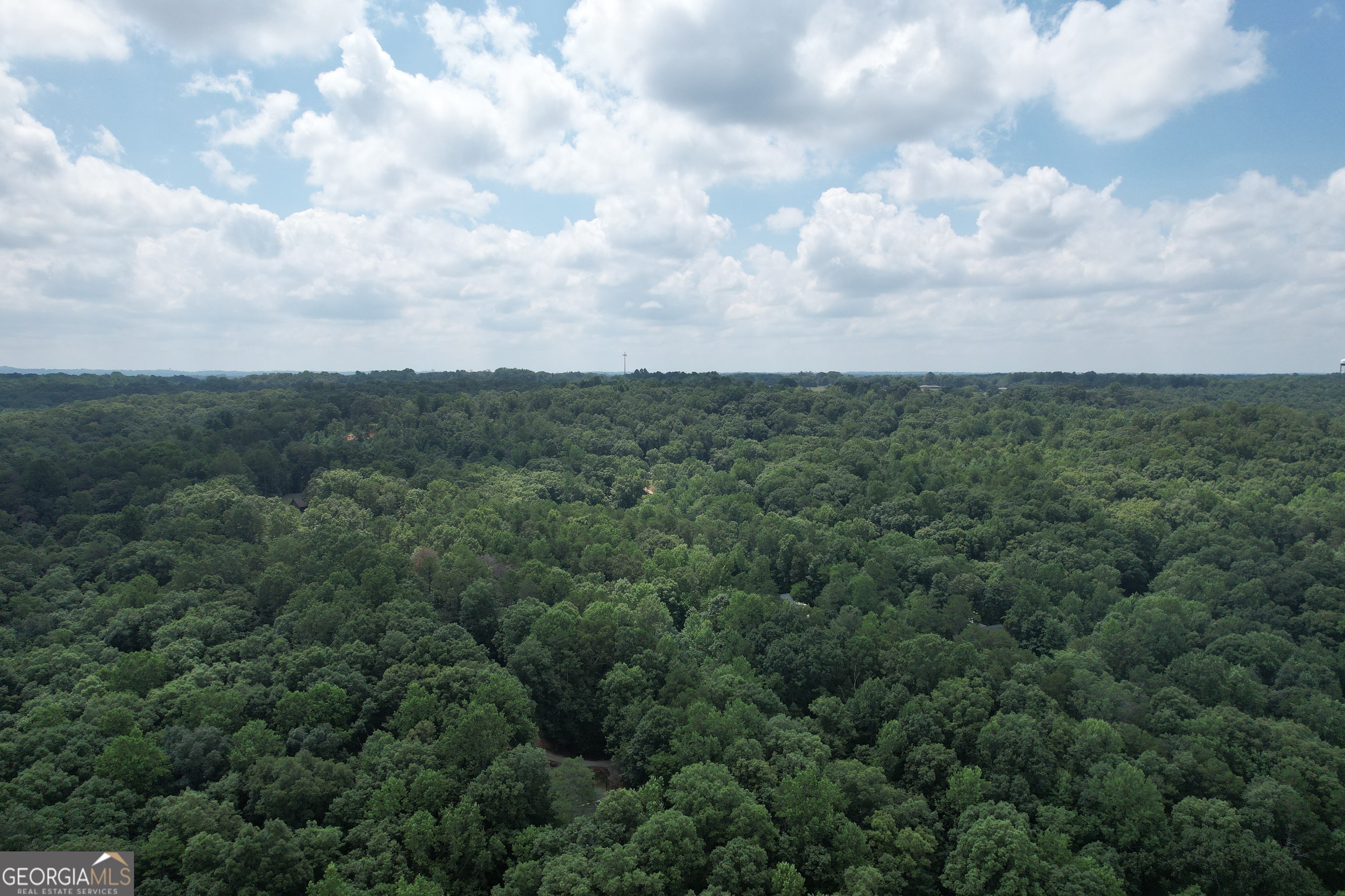 0 Casa Rio Drive Cornelia, GA 30531 - Photo 25 of 28 a view of a big yard with lots of trees