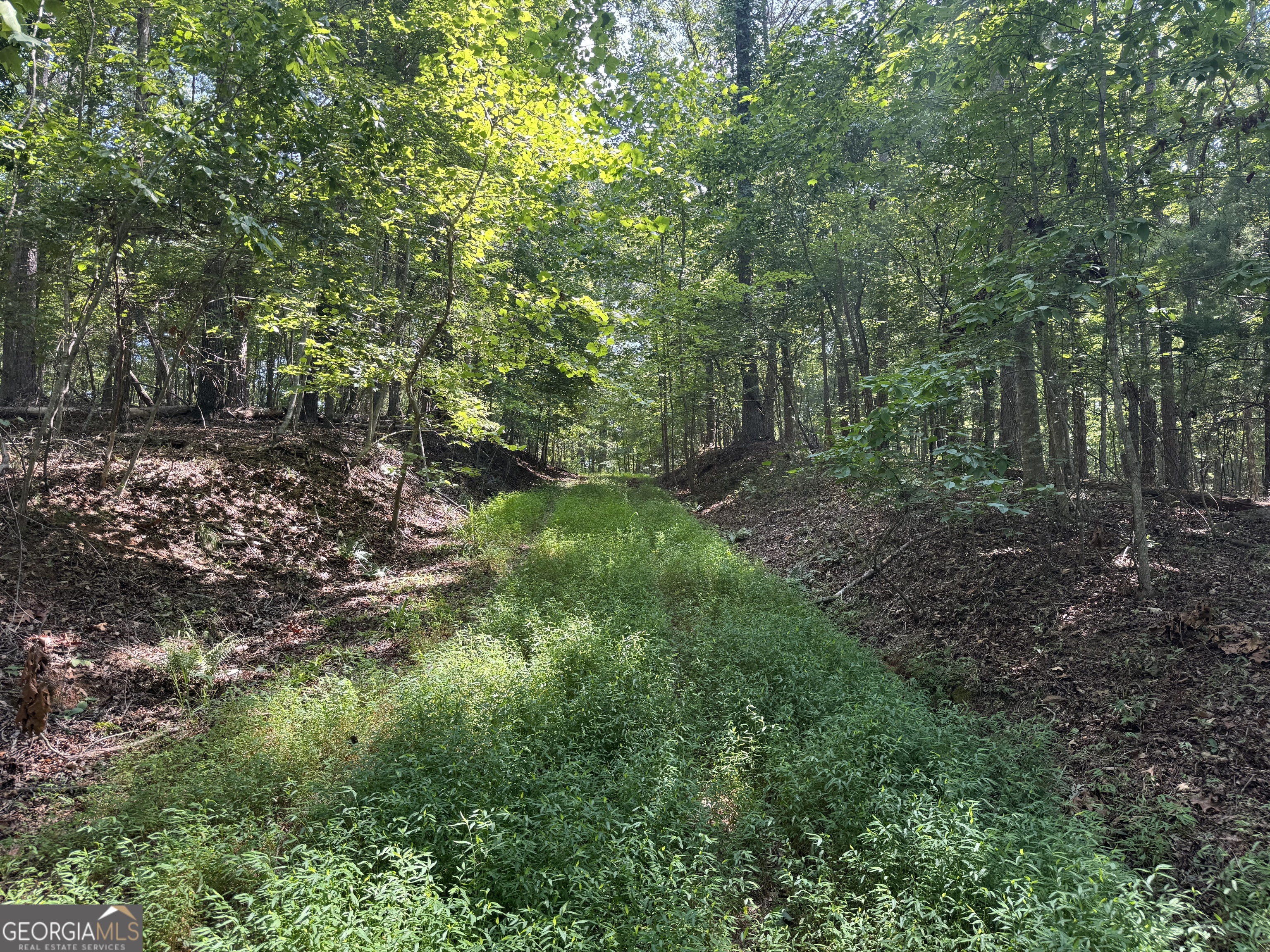 0 Casa Rio Drive Cornelia, GA 30531 - Photo 4 of 28 a big yard with lots of green space and deers